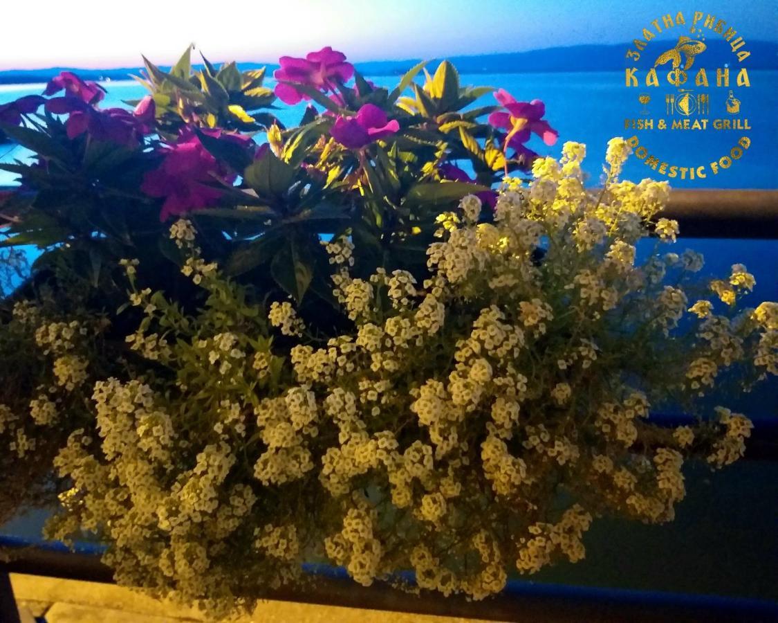 Appartamento Zlatna Ribica Golubac Esterno foto