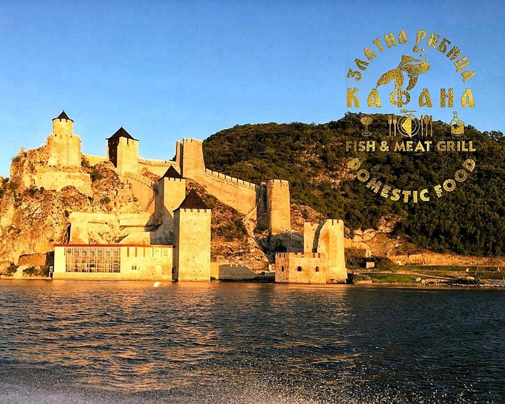 Appartamento Zlatna Ribica Golubac Esterno foto