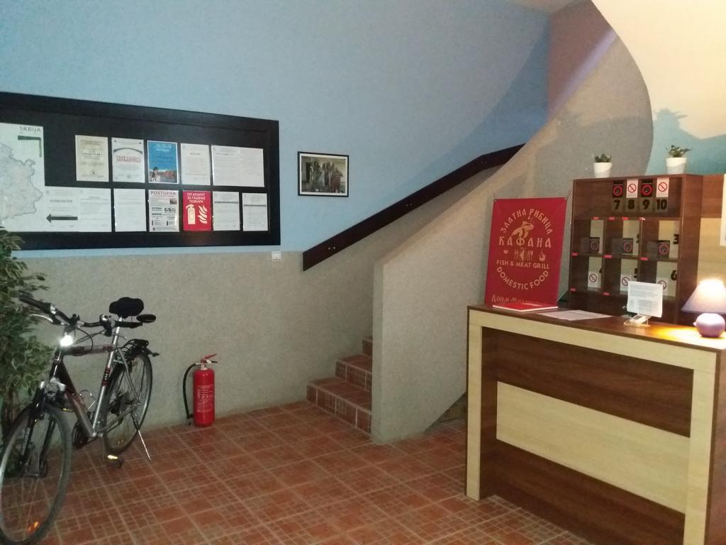 Appartamento Zlatna Ribica Golubac Esterno foto