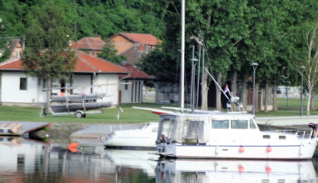 Appartamento Zlatna Ribica Golubac Esterno foto